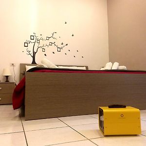 Sweet Night Rooms